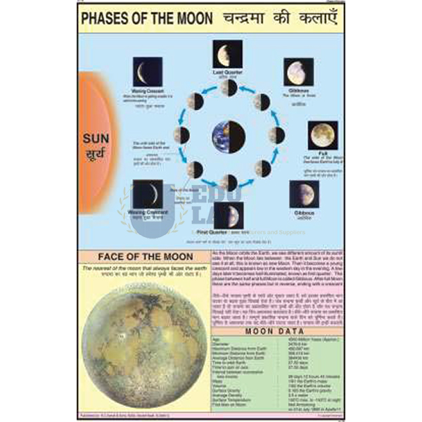 Phases of the Moon Chart