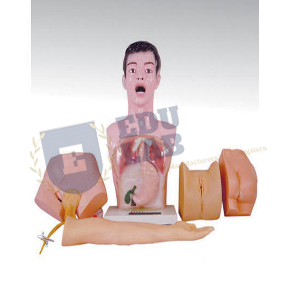 Nurse Basic Practice Teaching Model