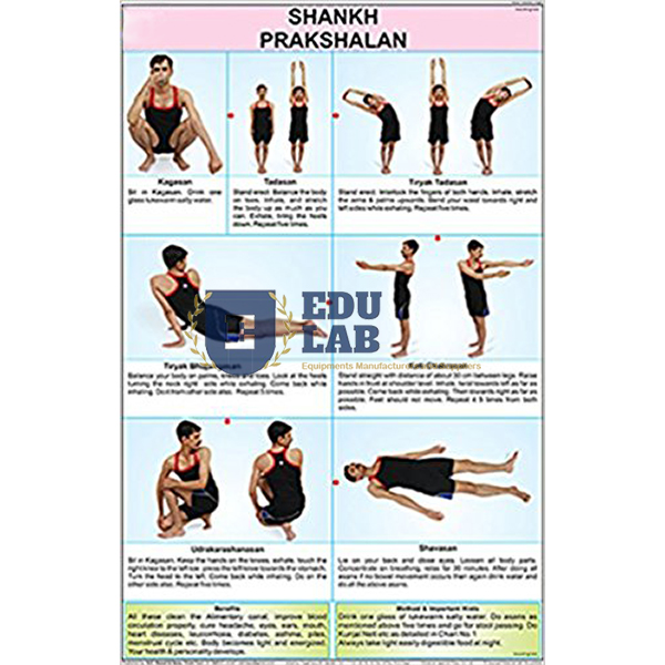 Shankh Prakshalan Chart