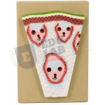 Monocot Stem T.S. Model